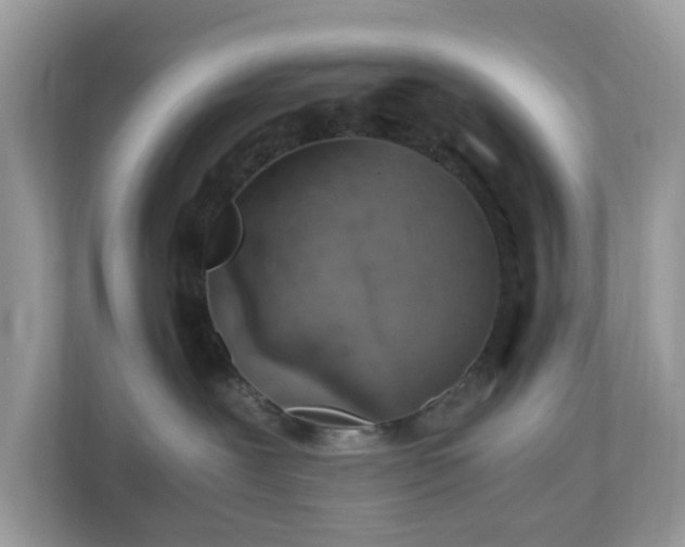 X0000110910239200906251404