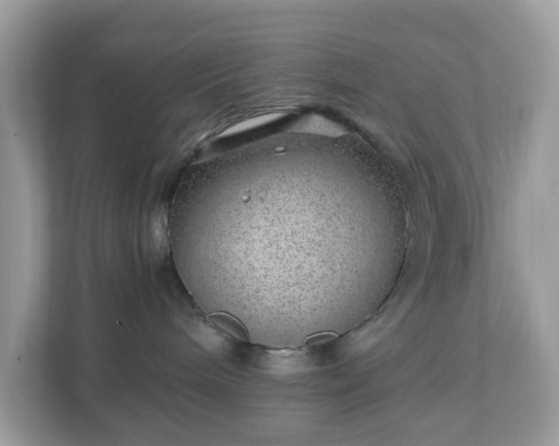 X0000110910240200906251404