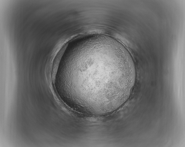 X0000110910241200906251403