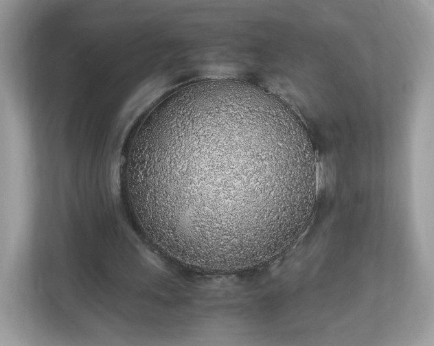 X0000110910243200906251403