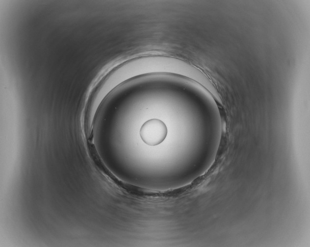 X0000110910244200906251403