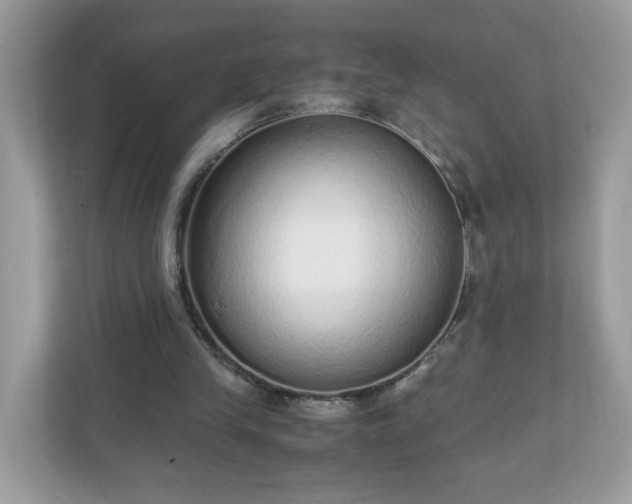 X0000110910245200906251403