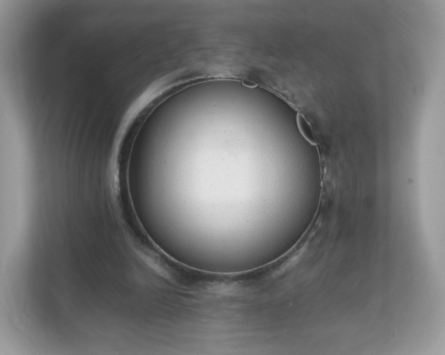 X0000110910246200906251403