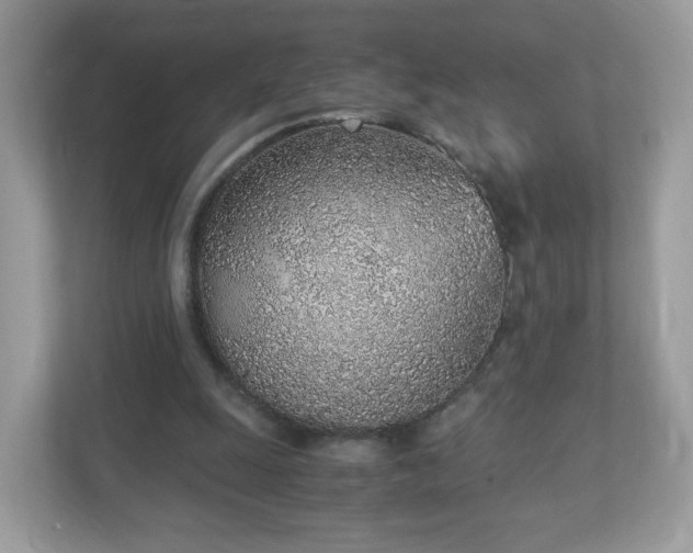 X0000110910247200906251403