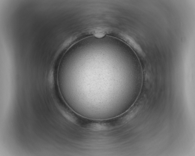 X0000110910250200906251403