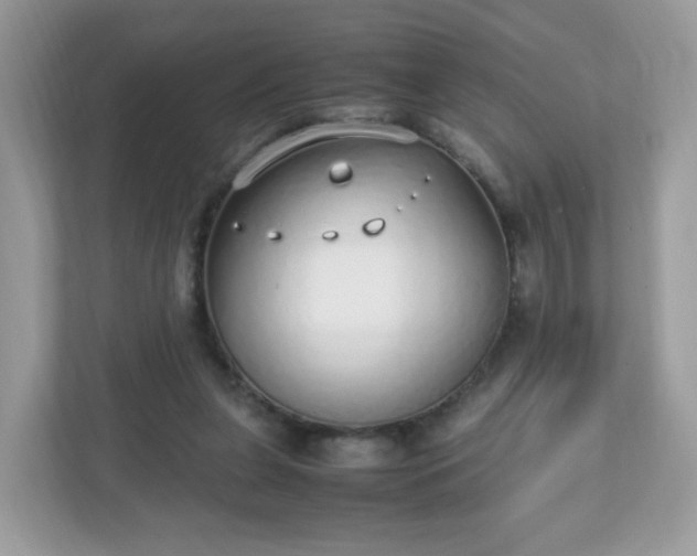 X0000110910255200906251403