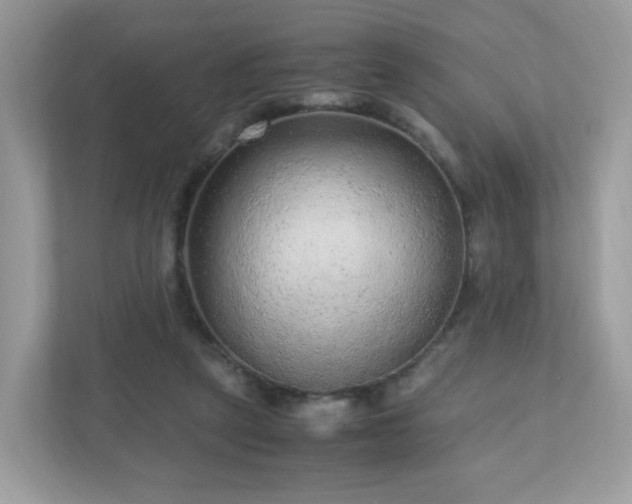 X0000110910257200906251404