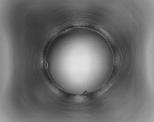 X0000110910261200906251404