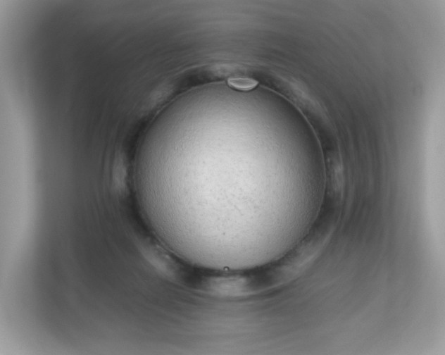 X0000110910266200906251404