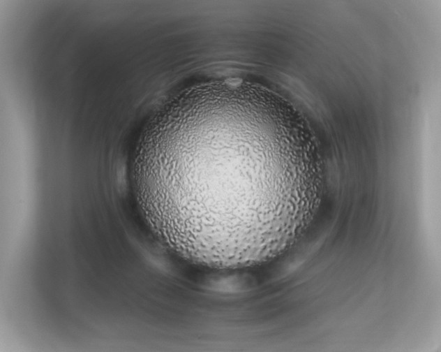 X0000110910267200906251404