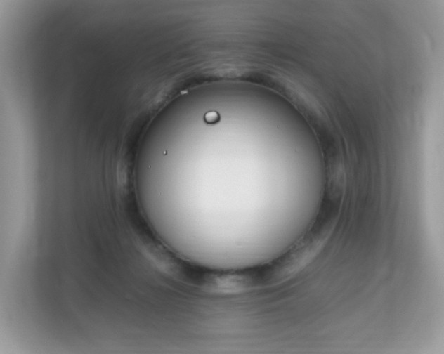 X0000110910268200906251404