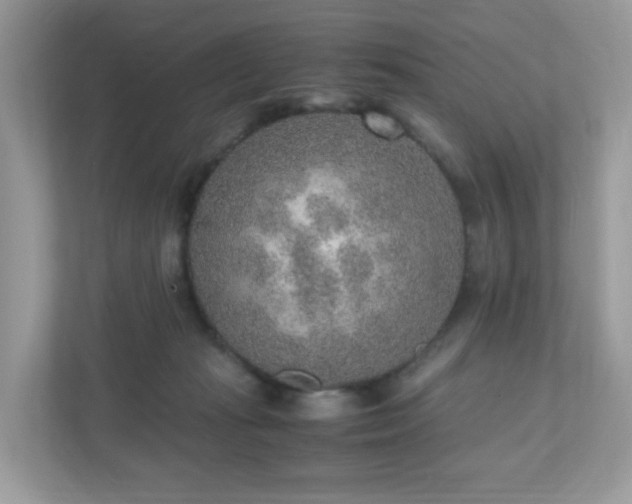 X0000110910269200906251404