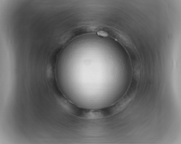 X0000110910270200906251404