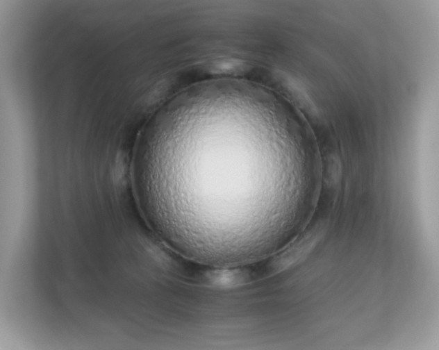 X0000110910273200906251404