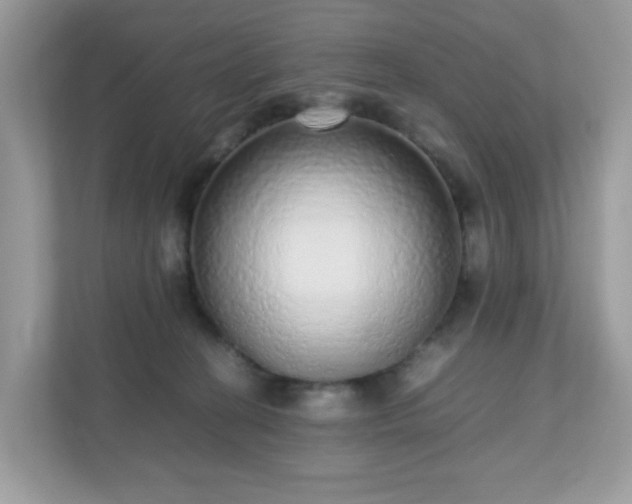 X0000110910274200906251404