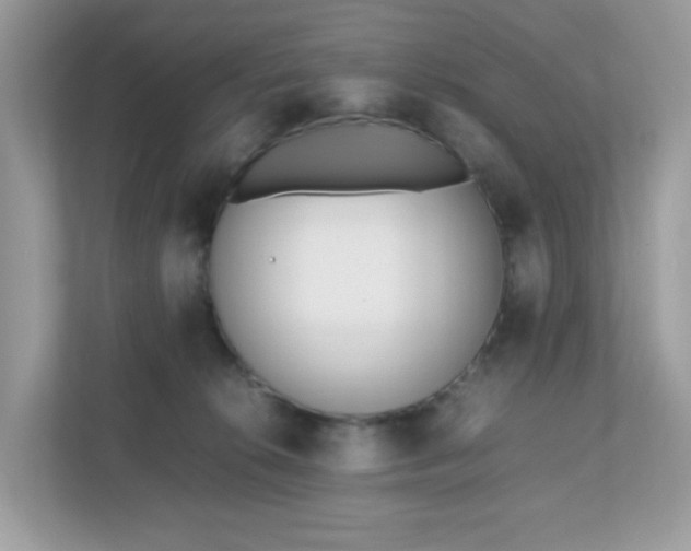 X0000110910276200906251404