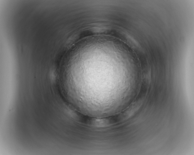 X0000110910277200906251404