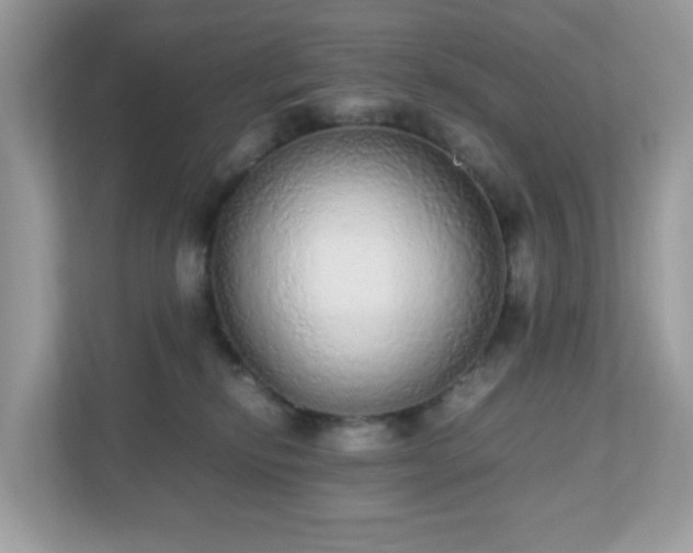 X0000110910278200906251404