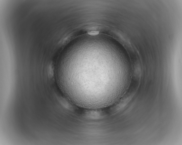 X0000110910282200906251404