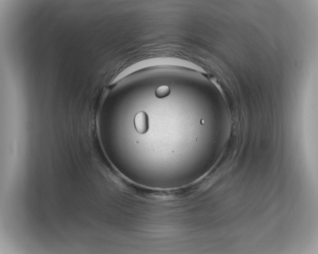 X0000110910284200906251404