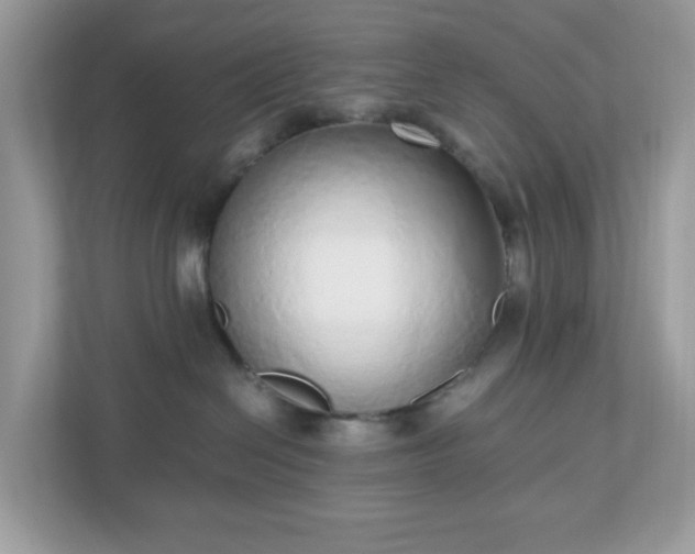 X0000110910286200906251404