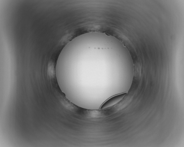 X0000110910287200906251404