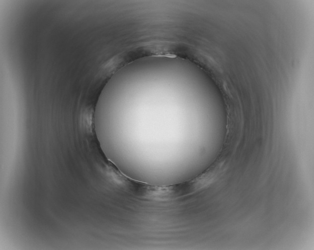 X0000110910288200906251404