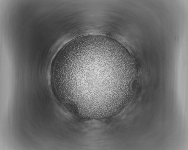 X0000110910290200906251403