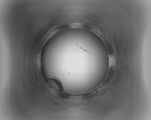 X0000110910291200906251403