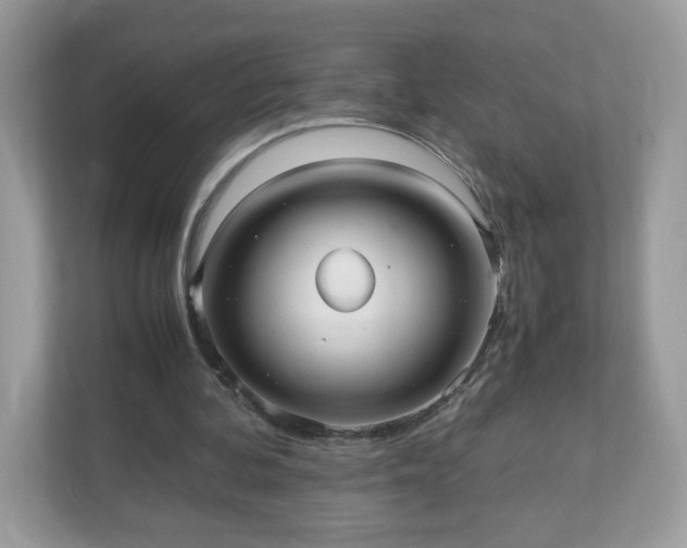 X0000110910292200906251403