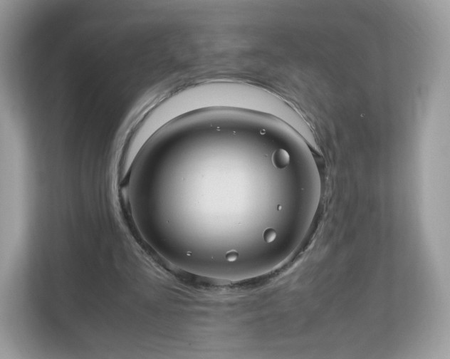 X0000110910293200906251403