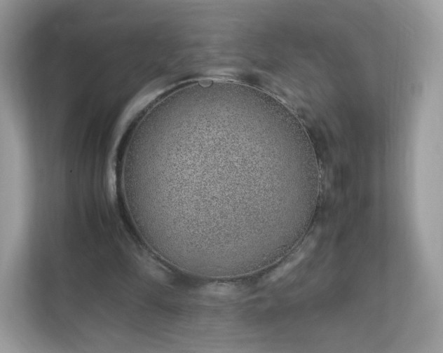 X0000110910294200906251403