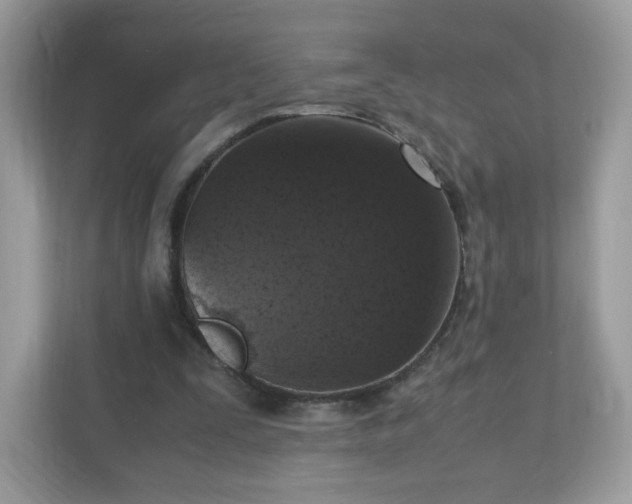 X0000110910295200906251403