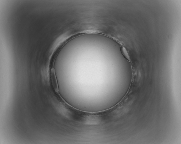 X0000110910296200906251403