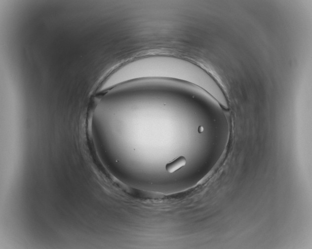 X0000110910297200906251403