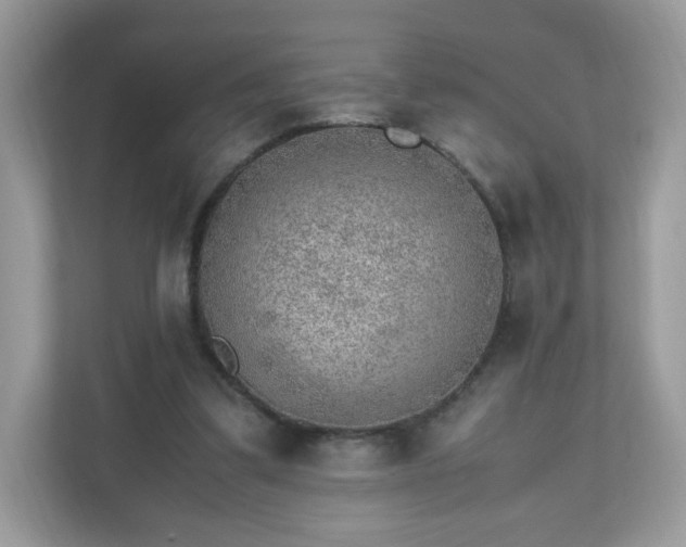 X0000110910299200906251403