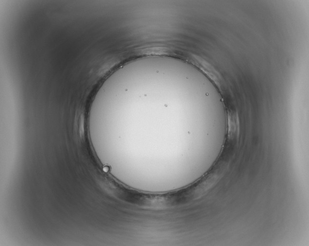 X0000110910301200906251403