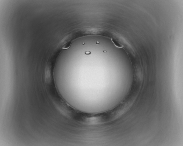 X0000110910312200906251403