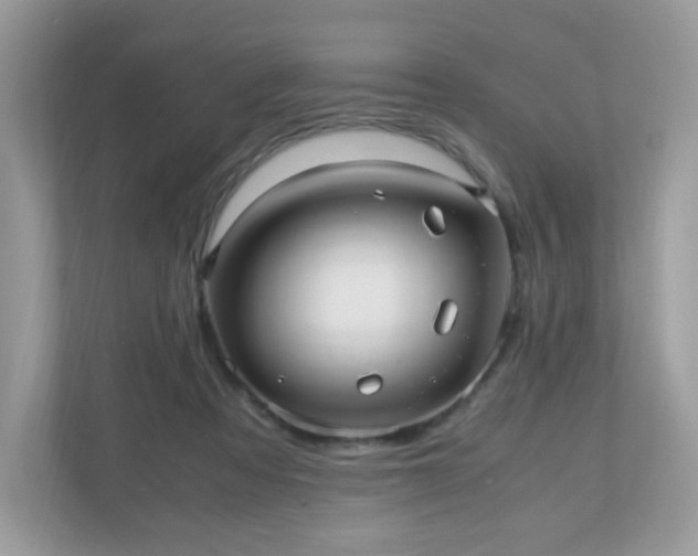 X0000110910313200906251403