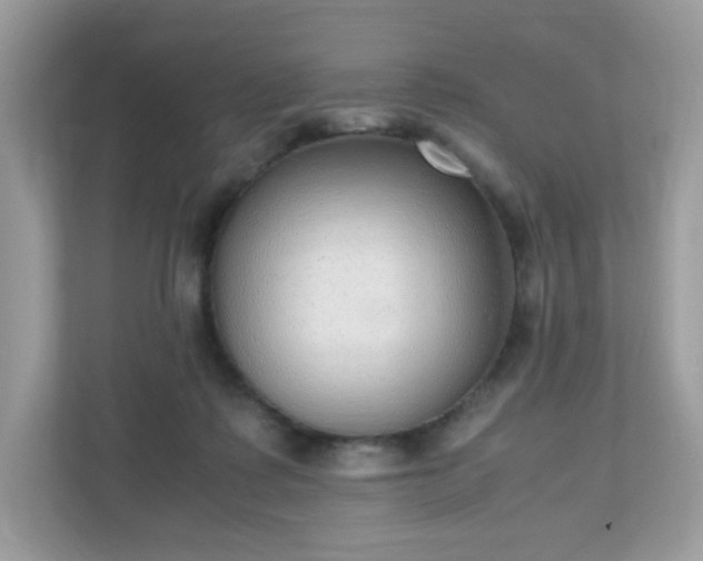 X0000110910315200906251403