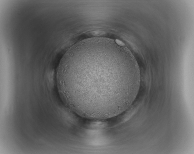 X0000110910319200906251403