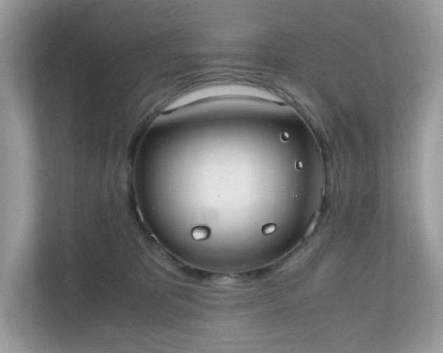 X0000110910325200906251403