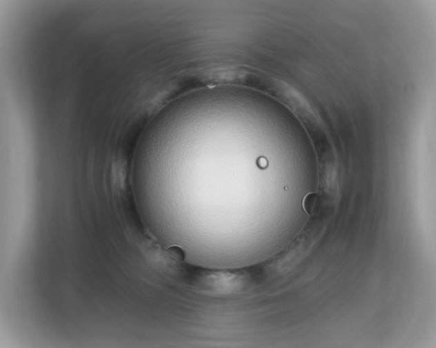 X0000110910326200906251403