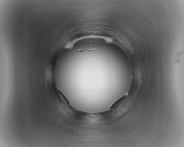 X0000110910328200906251403