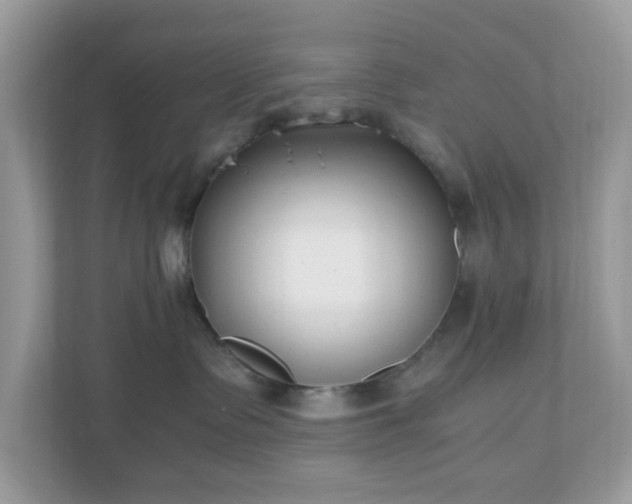 X0000110910335200906251403