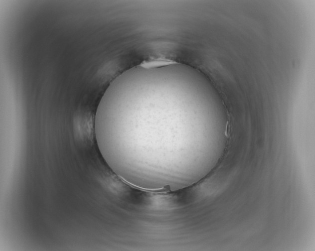 X0000110910336200906251403