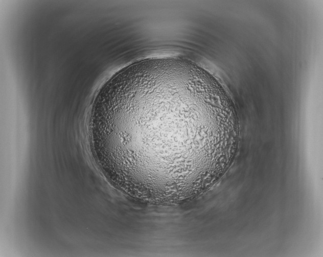 X0000110910337200906251402