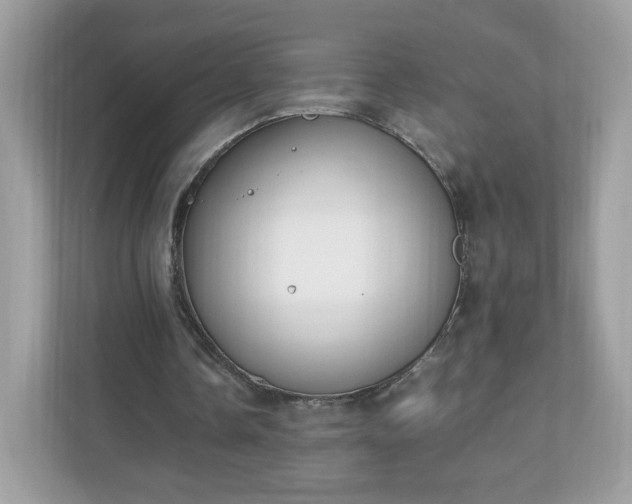 X0000110910338200906251402