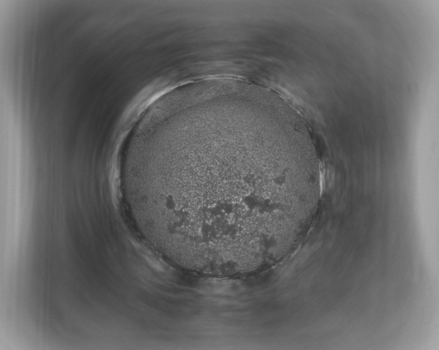 X0000110910339200906251402