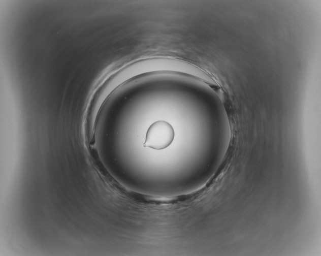 X0000110910340200906251402